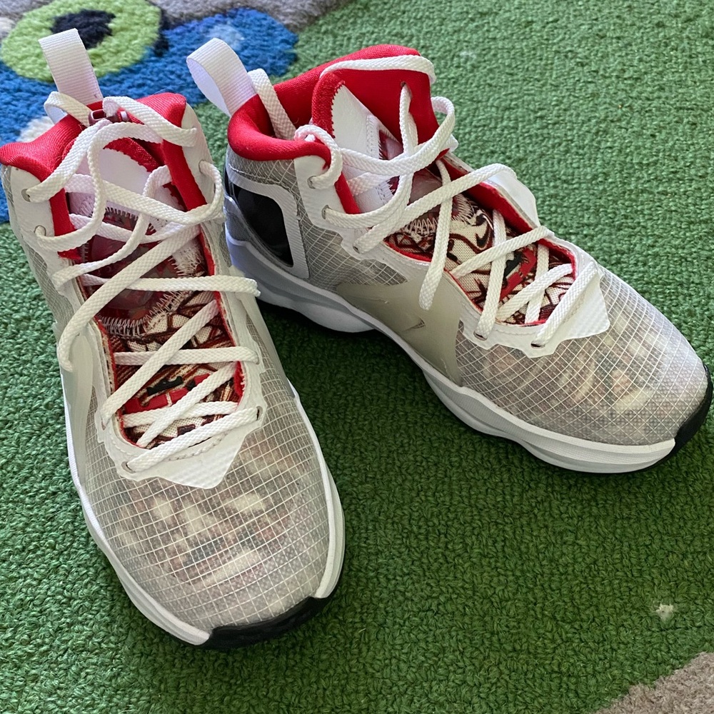 Nike Lebron shoes, brand new